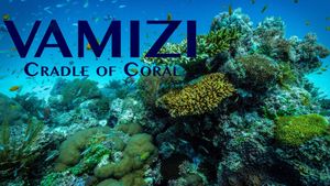 Vamizi Cradle of Coral's poster