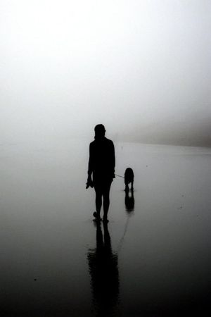 Ella Walks the Beach's poster
