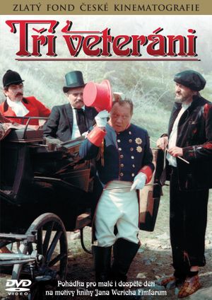 The Three Veterans's poster