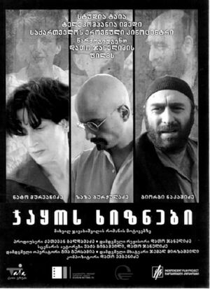 Jakos Khiznebi's poster