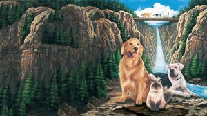 Homeward Bound: The Incredible Journey's poster
