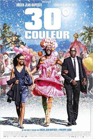 30° couleur's poster