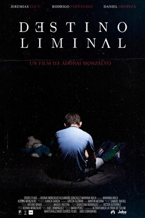 Destino Liminal's poster