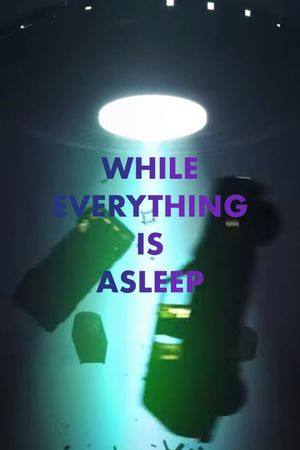 While Everything is Asleep's poster