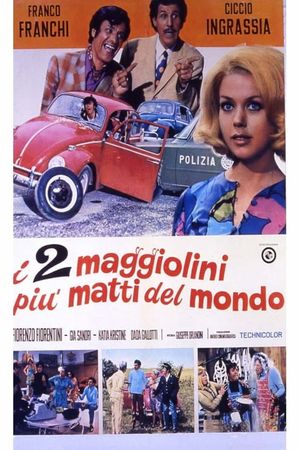 I due maggiolini più matti del mondo's poster