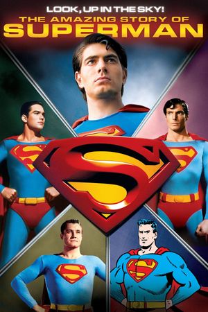 Look, Up in the Sky! The Amazing Story of Superman's poster