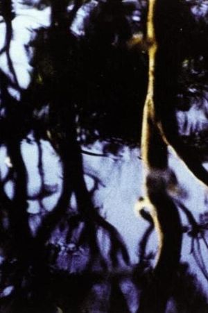 Corporeal's poster
