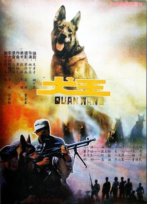 Quan wang's poster