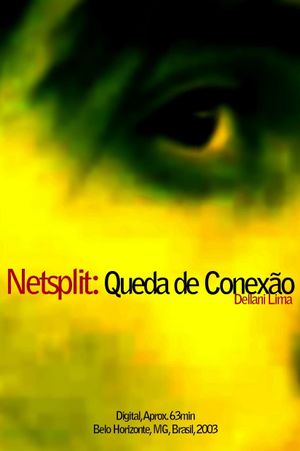 Netsplit: Queda de Conexão's poster