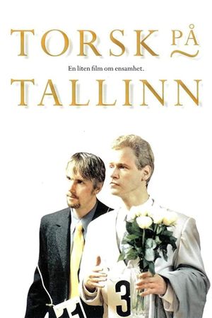 Screwed in Tallinn - A Small Film About Loneliness's poster