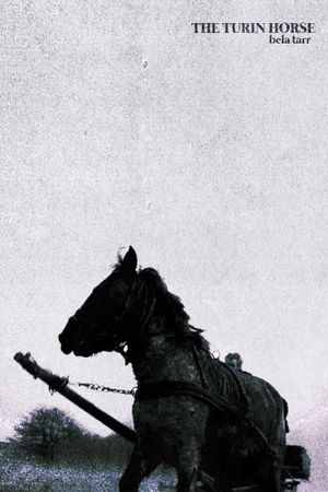 The Turin Horse's poster
