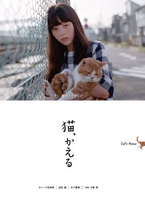 Cat's Home's poster