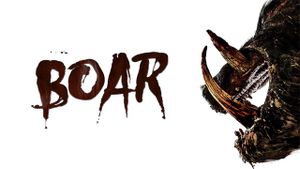 Boar's poster