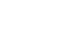 Sunshine Cleaning's poster