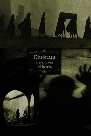 Nosferatu: A Symphony of Horror's poster