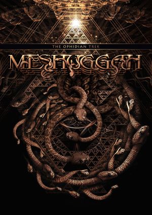 Meshuggah: Konstrukting the Koloss's poster