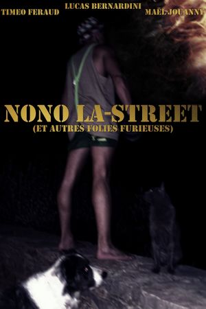 Nono La-Street (et autres folies furieuses)'s poster