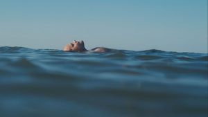 Un homme à la mer's poster