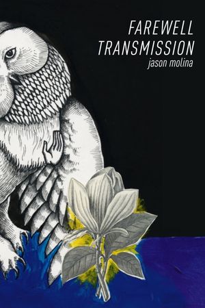 Jason Molina - Farewell Transmission's poster