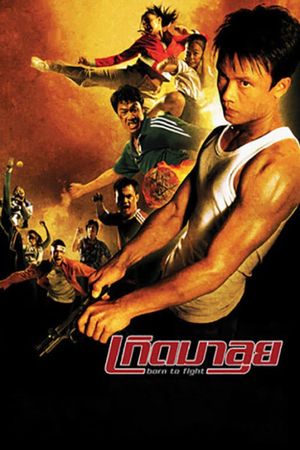 Born to Fight's poster