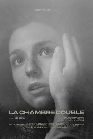 Double Room's poster