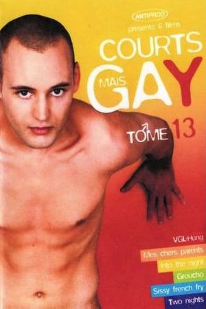 Courts mais GAY: Tome 13's poster