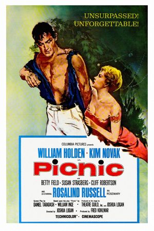Picnic's poster