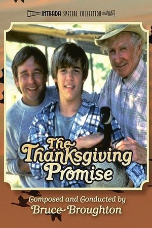 The Thanksgiving Promise's poster