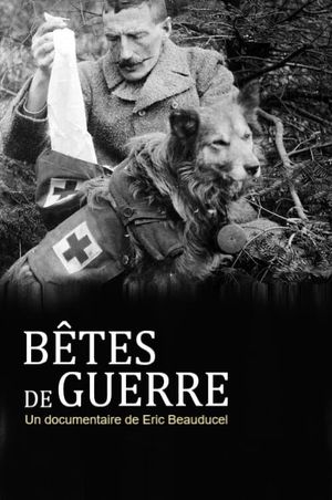 Bêtes de guerre's poster