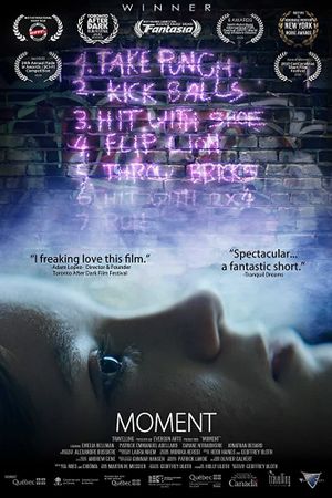 Moment's poster