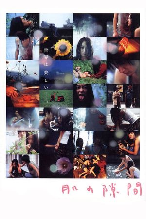 A Gap in the Skin's poster