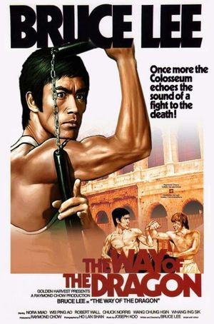 The Way of the Dragon's poster