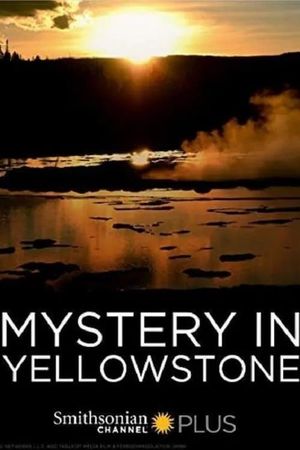 Mystery in Yellowstone's poster