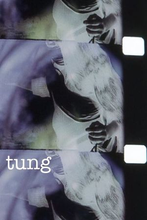 Tung's poster