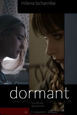Dormant's poster