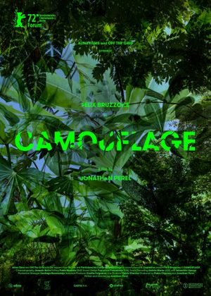 Camouflage's poster