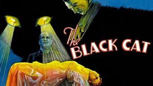The Black Cat's poster
