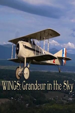 Wings: Grandeur in the Sky's poster