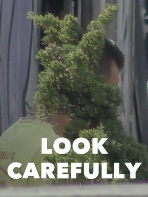 Look Carefully's poster