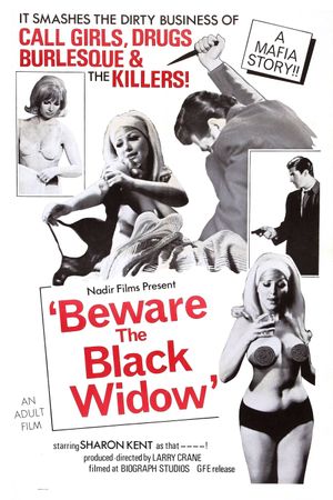 Beware the Black Widow's poster