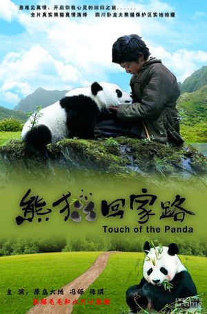 Trail of the Panda's poster