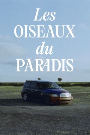 Les oiseaux du paradis's poster