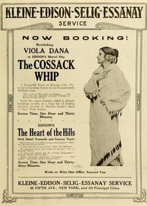The Cossack Whip's poster
