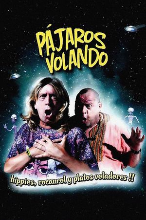 Pájaros volando's poster