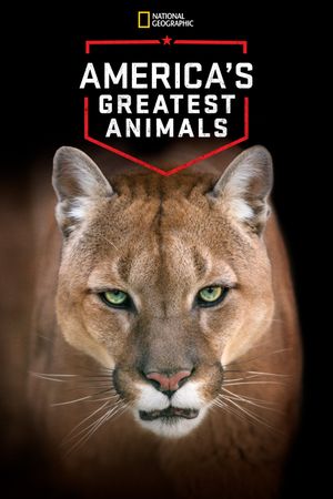 America's Greatest Animals's poster