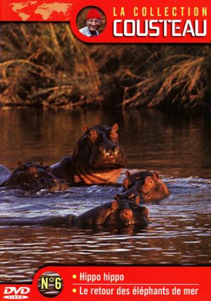 The Cousteau Collection N°6-1 | Hippo, Hippo's poster