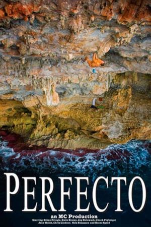 Perfecto's poster
