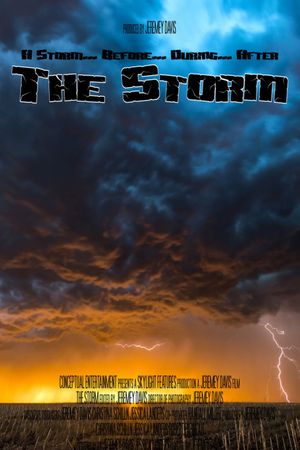 The Storm's poster