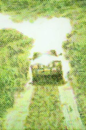 Cartoon's poster image