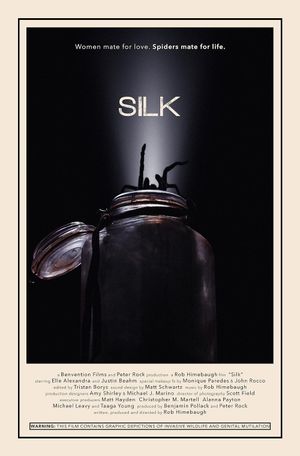 Silk's poster